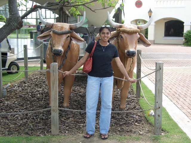 CIMG0653