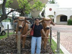 CIMG0654