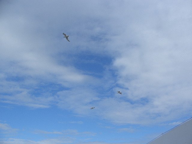 CIMG0701