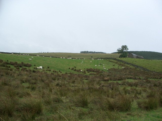 CIMG0401