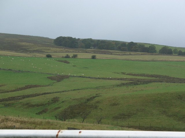 CIMG0403