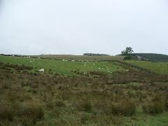 CIMG0401